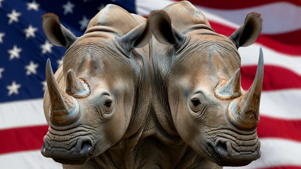 Two rhinoceros heads, joined side by side and facing opposite directions, in front of an American flag.
